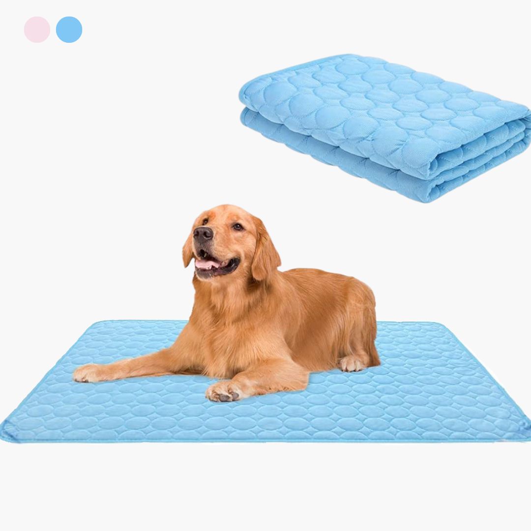 🧊Premium Cooling Mat For Pet