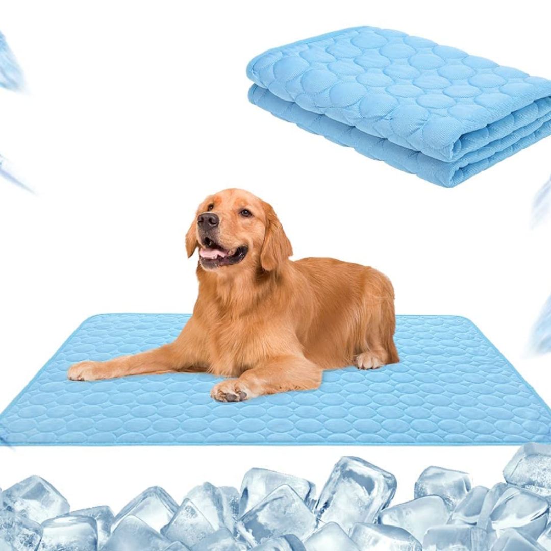 🧊Premium Cooling Mat For Pet