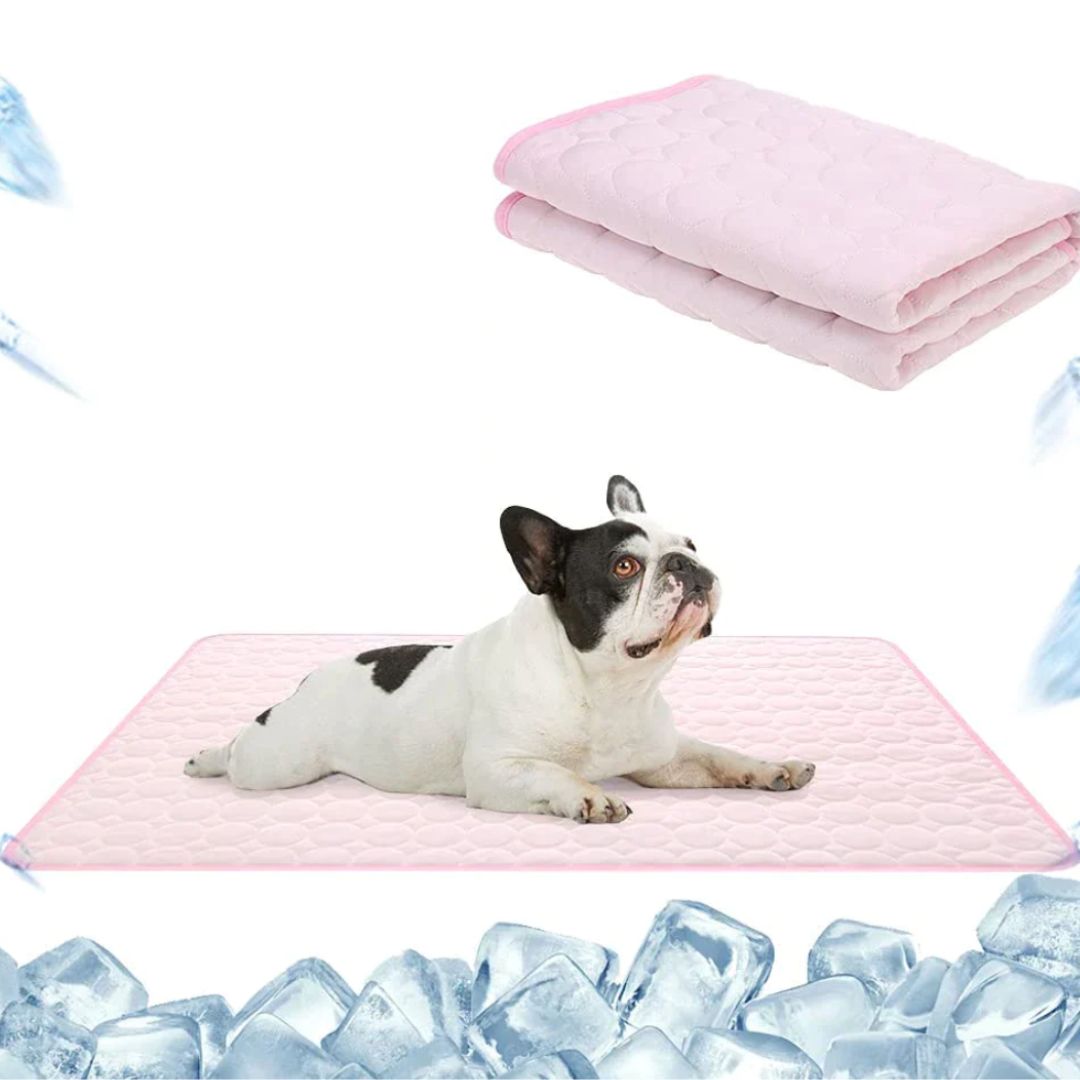 🧊Premium Cooling Mat For Pet